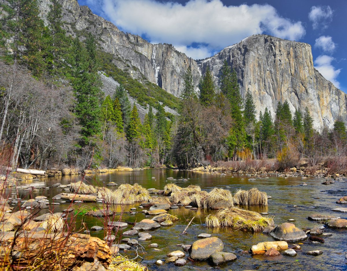 Yosemite Private Tours (Yosemite National Park) - All You Need to Know ...