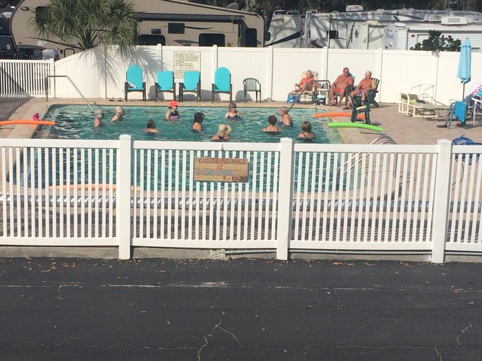 Caladesi Rv Park & Propane Pool: Pictures & Reviews - Tripadvisor