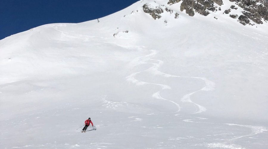 Fresh tracks