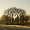 Jochen F