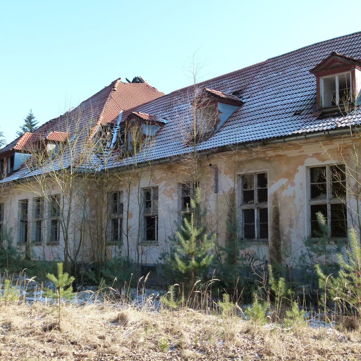 Borne город