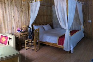 Phòng & Phòng Suite