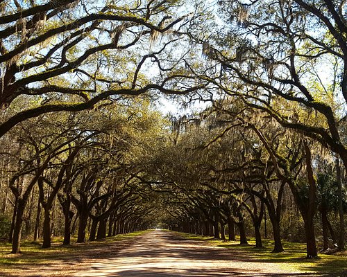 The 15 Best North Georgia State Parks & Historic Sites