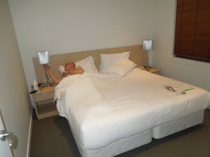 Room & Suite