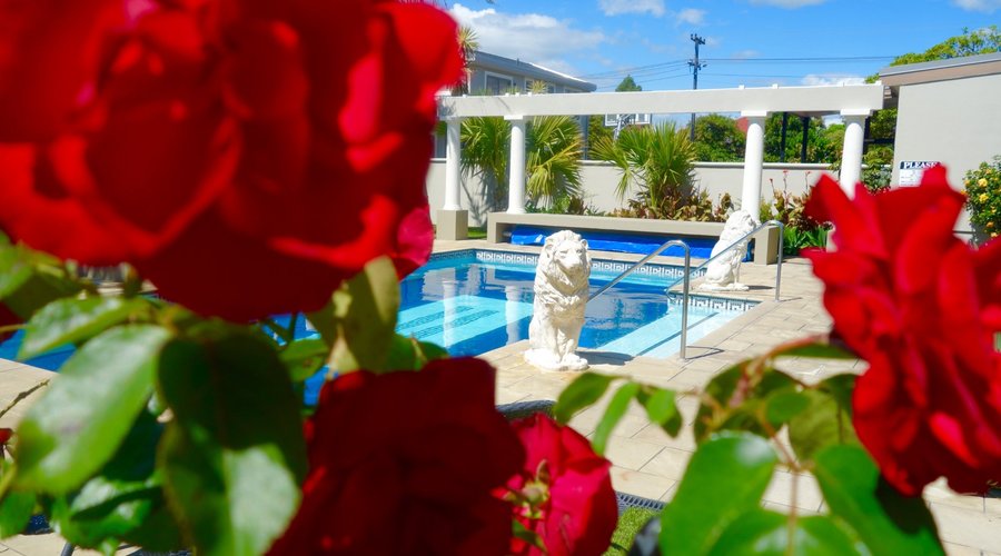 Pool & GArden