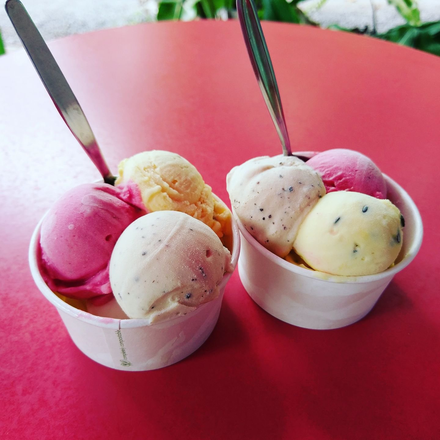 DAINTREE ICE CREAM COMPANY, Diwan - Restaurant Reviews, Photos & Phone ...