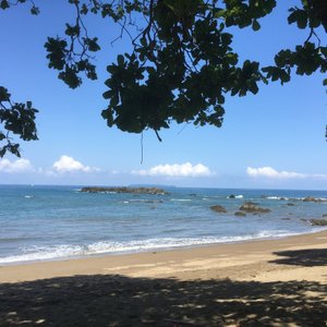 Drake Bay - Agujas River: 5 fotos - Puntarenas, Costa Rica