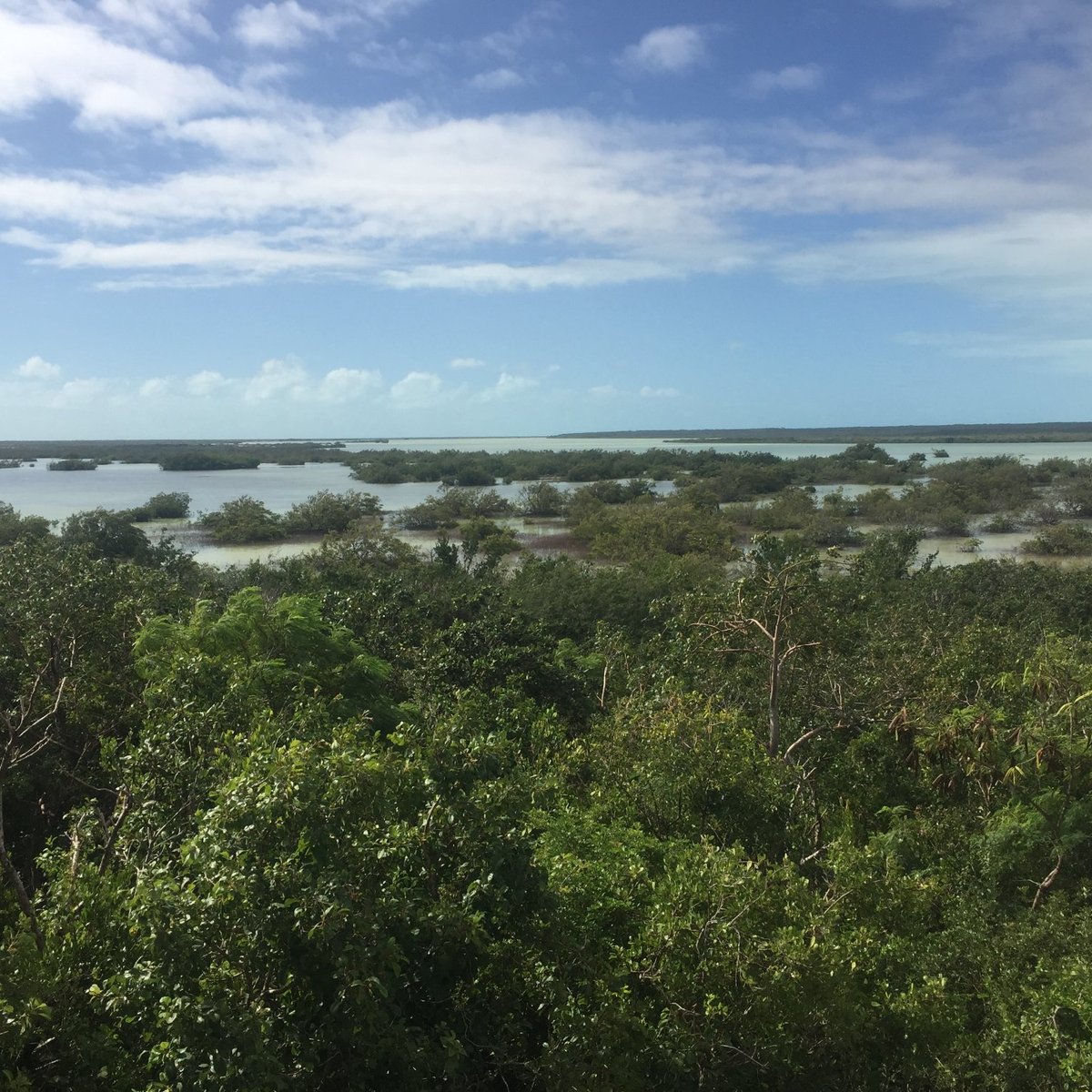 2022年 Flamingo Pond Overlook - 行く前に！見どころをチェック - トリップアドバイザー