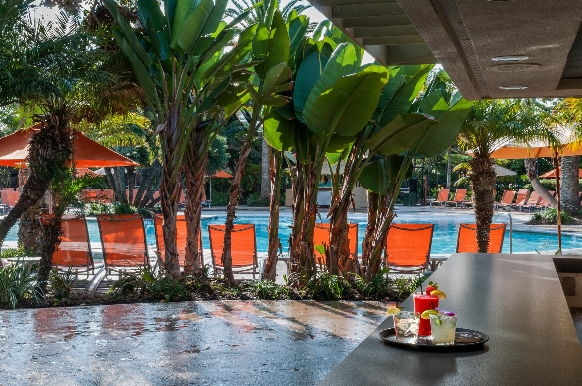 Hotel photo 2 of Paradise Point Resort & Spa.