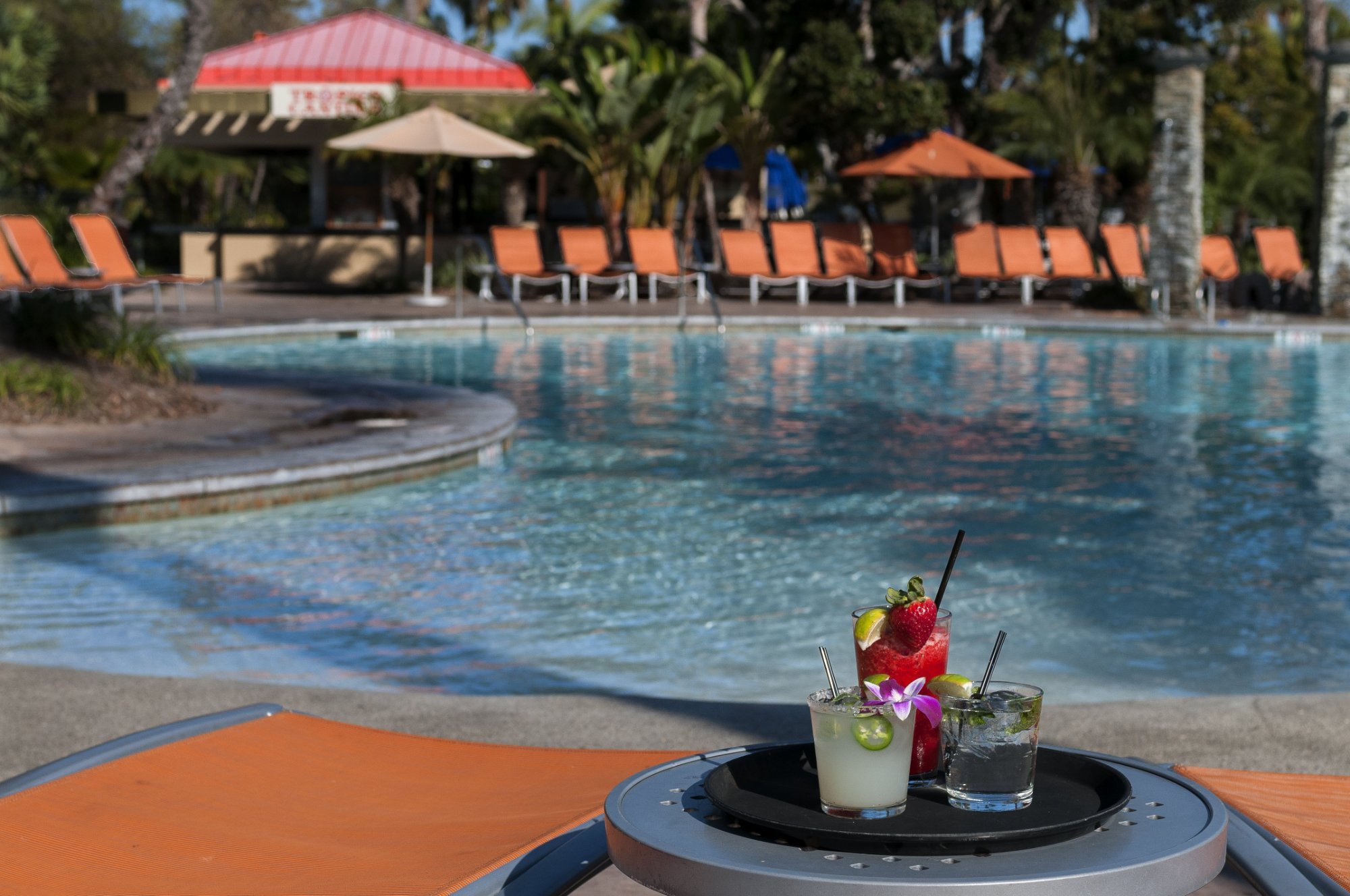 Hotel photo 44 of Paradise Point Resort & Spa.