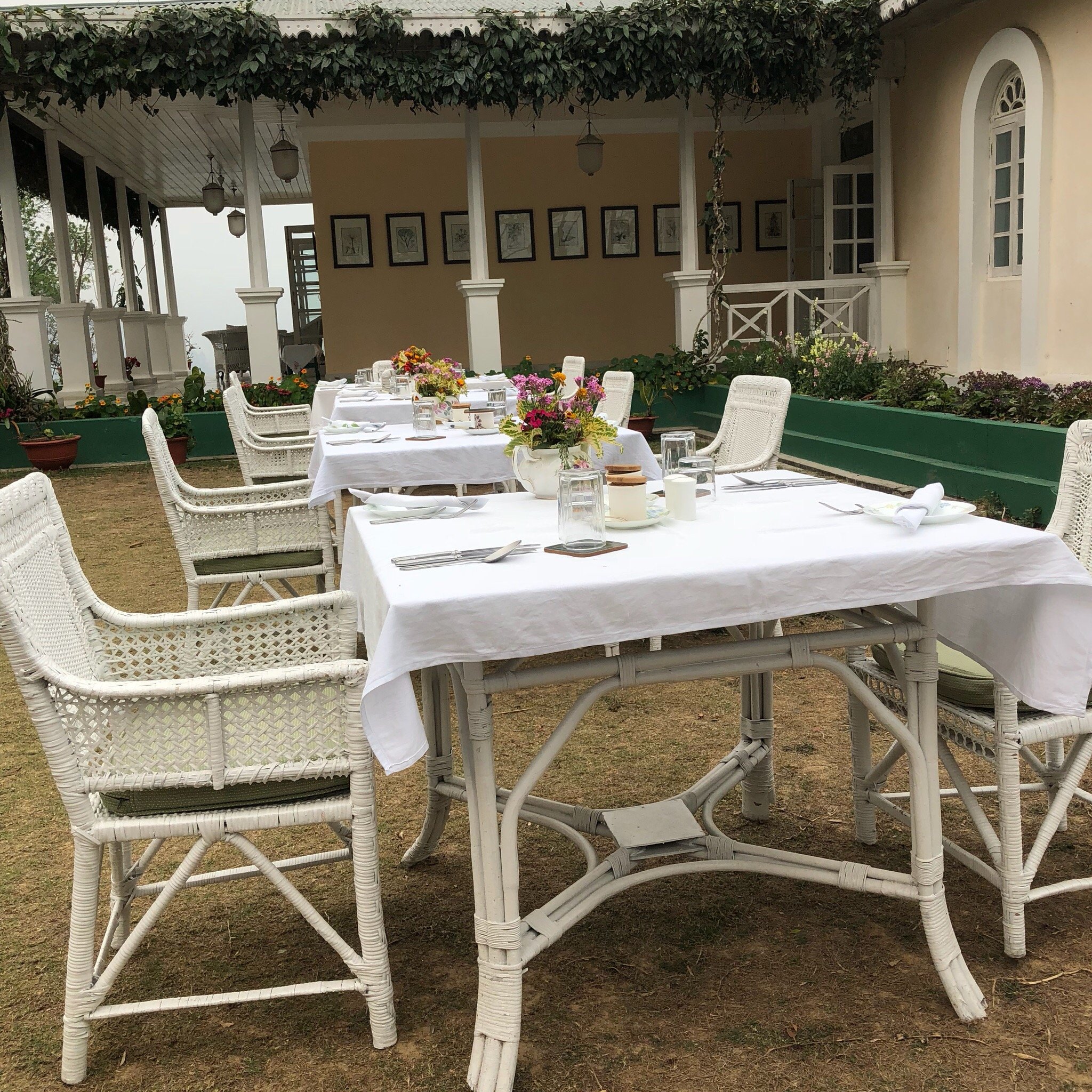 Hotel photo 5 of Glenburn Tea Estate.