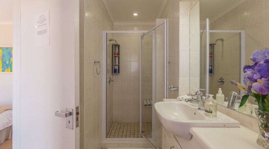 Dolphin Room Shower Only