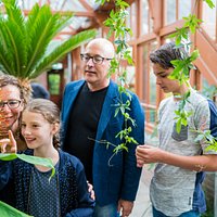 Kassen (Greenhouses). Find the most exotic plants in the greenhouses of the old botanical garden