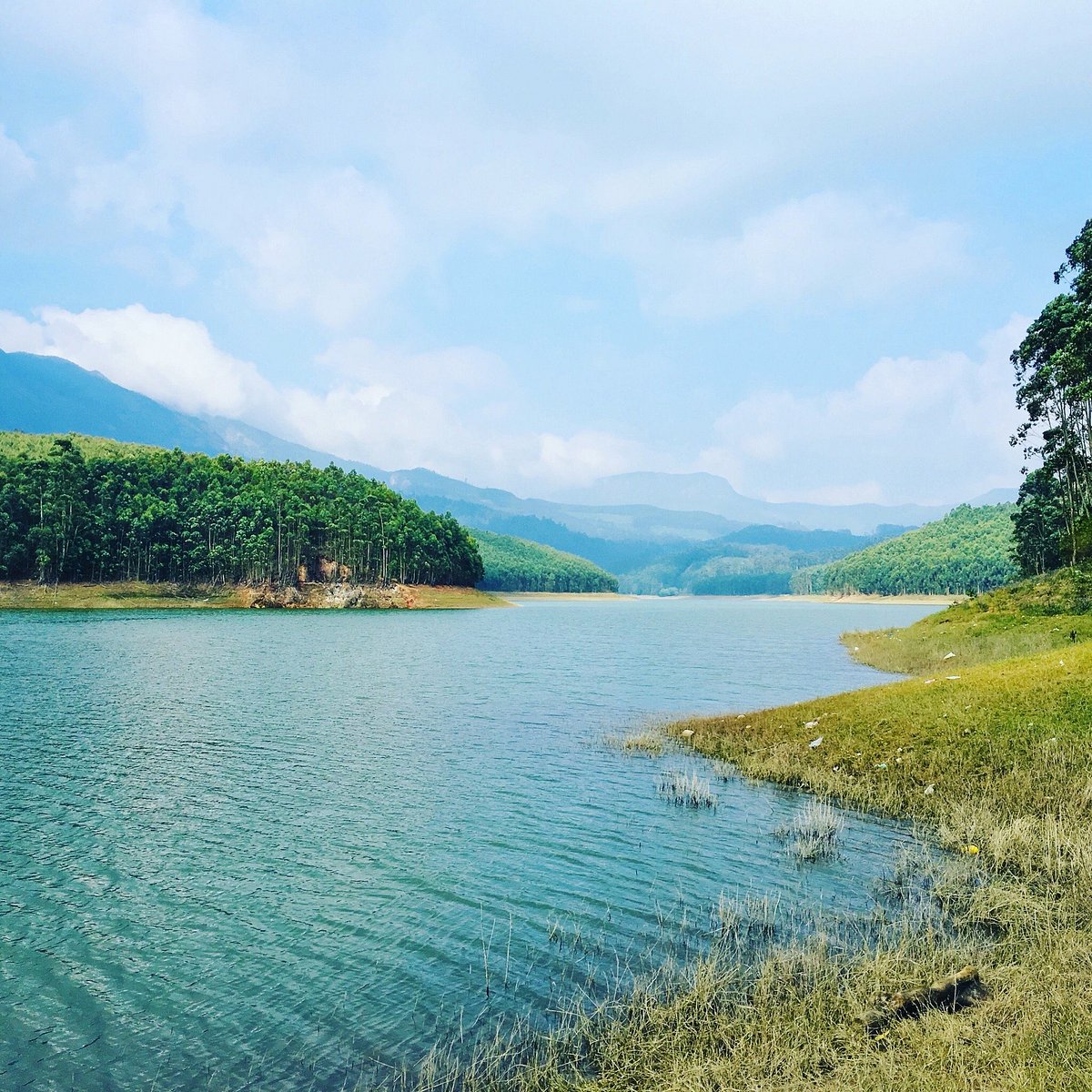 Echo Station Point Munnar: Discover the Ultimate Serenity Echo Station Point Munnar: Discover the Ultimate Serenity