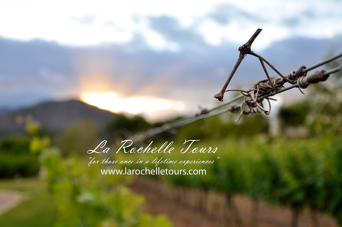 La Rochelle Wine Tours - All You Need to Know BEFORE You Go (2024)