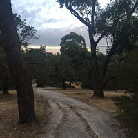 Dickinson reserve