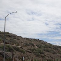 Several levels of trails for various abilities