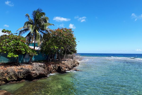 THE BEST Lobster in Roatan (Updated July 2024) - Tripadvisor