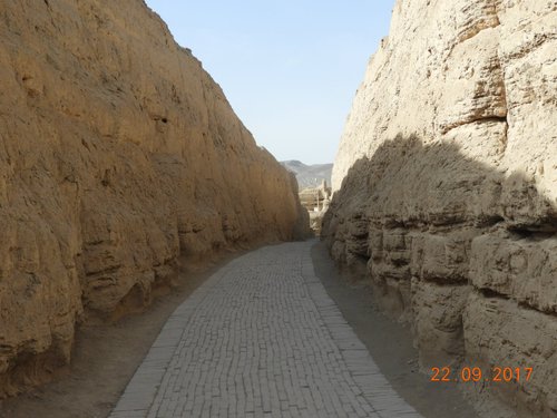 Turpan Queenscout review images