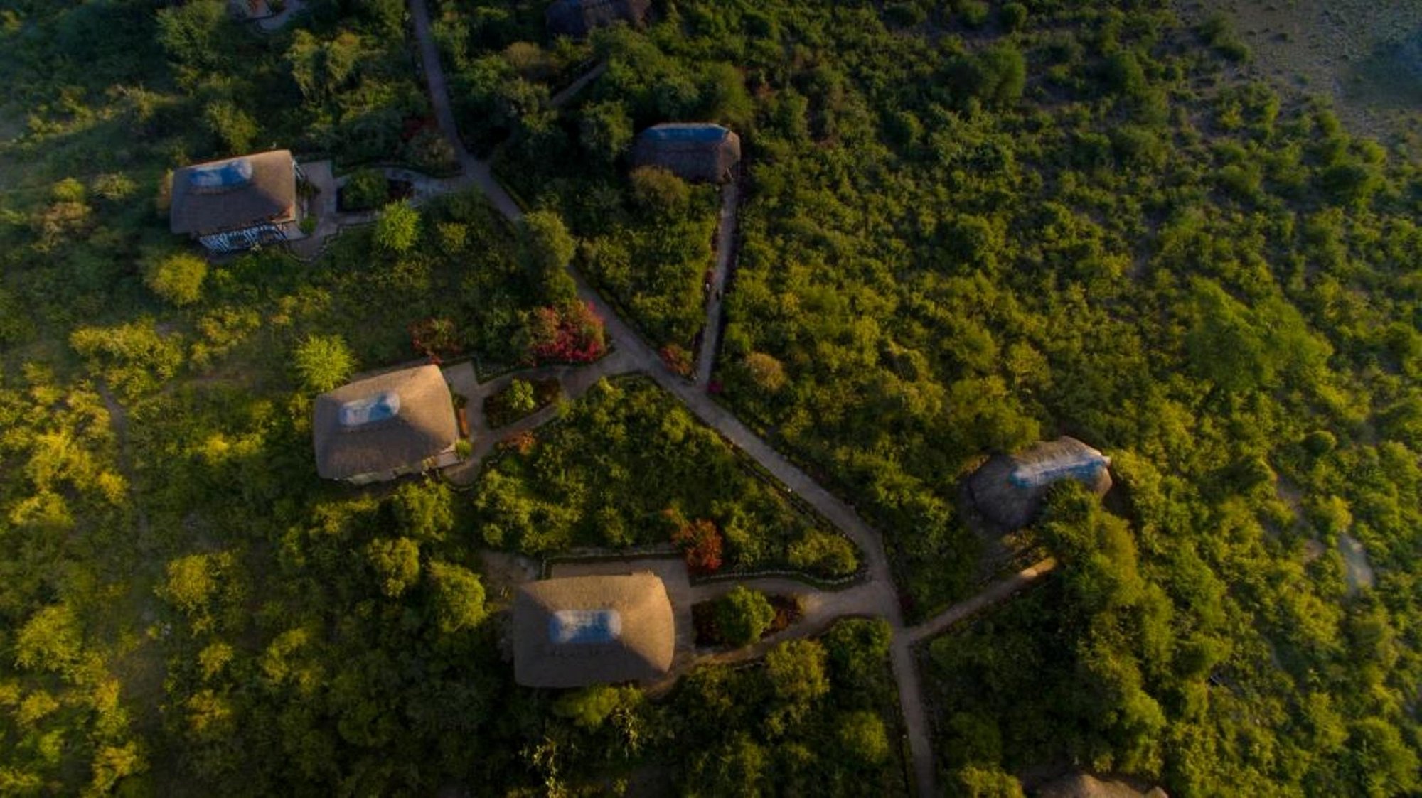 MANYARA LAKEVIEW OASIS Lake Manyara National Park Tanzania   Aerial View 