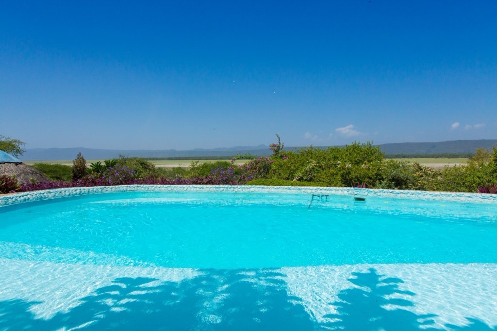 manyara-lakeview-oasis-pool-pictures-reviews-tripadvisor