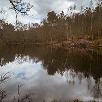 le miroir aux fées