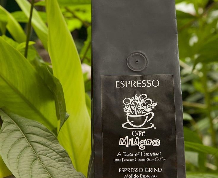 CÓMO ELEGIR EL MOLINO DE CAFÉ PERFECTO? – Gento Coffee Roasters