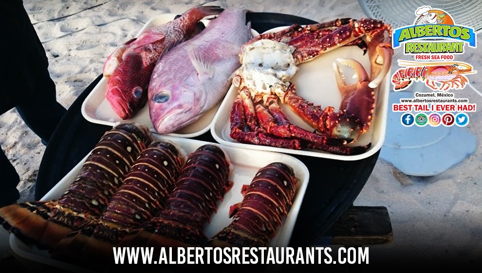 ALBERTO'S BEACH BAR & RESTAURANT, Cozumel - Menú, Precios Y Restaurante ...