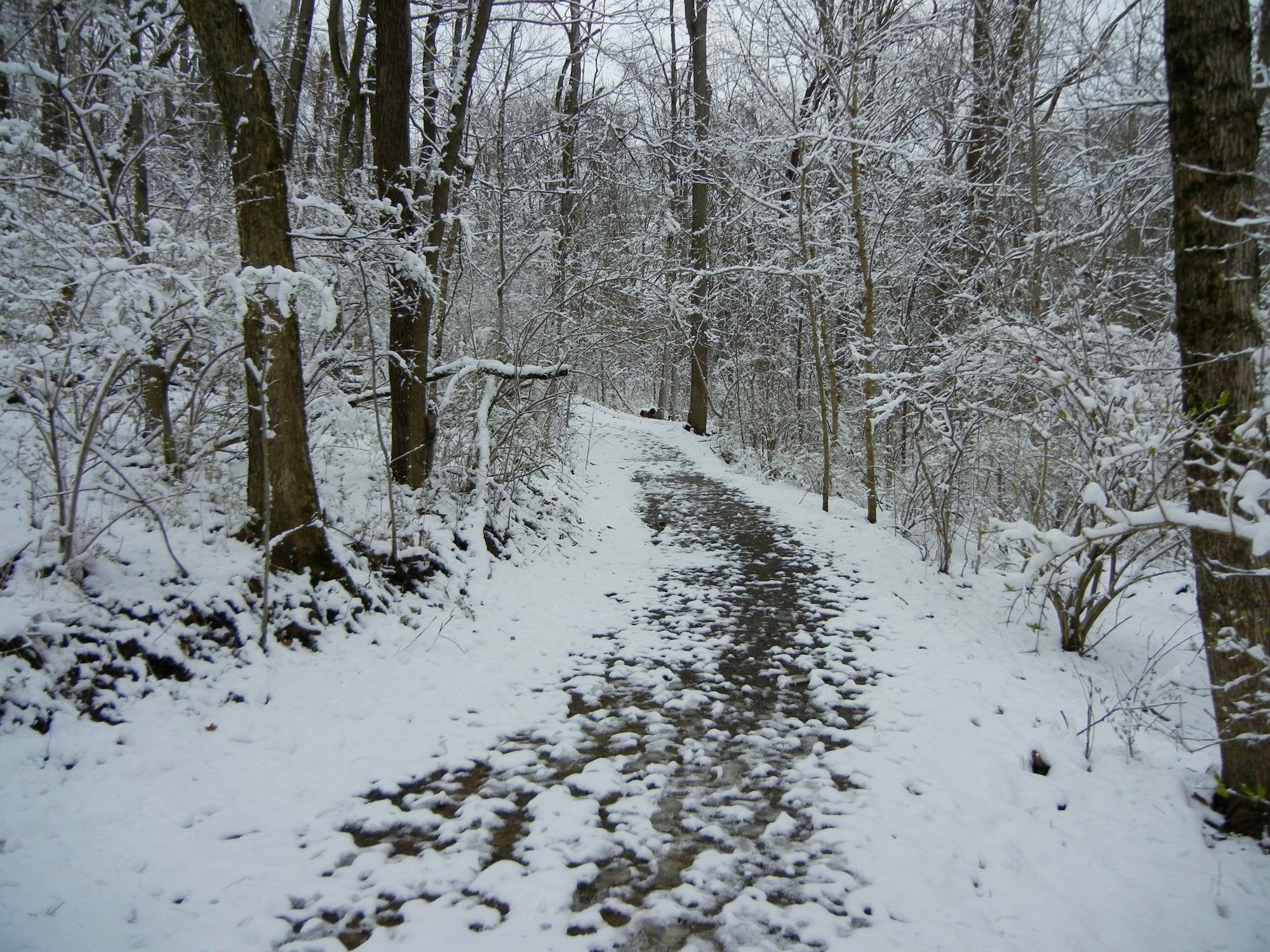 Independence KY 2024 Best Places To Visit Tripadvisor   Trail In The March Snow 