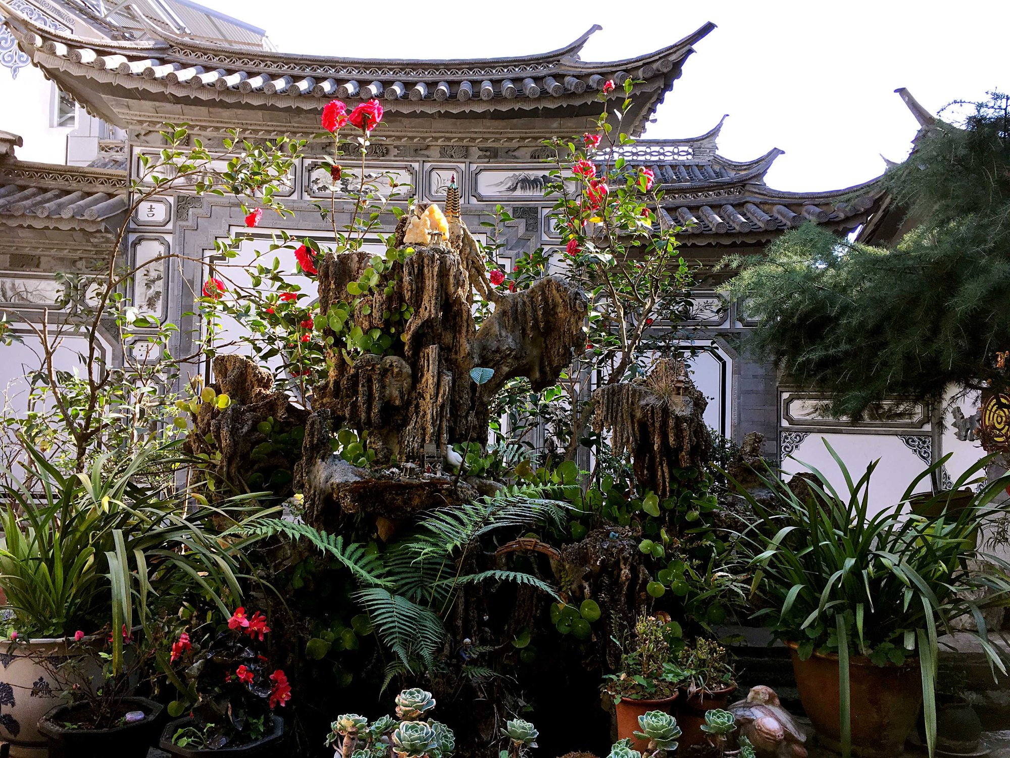 Hotel photo 9 of The Lily Pad Inn.