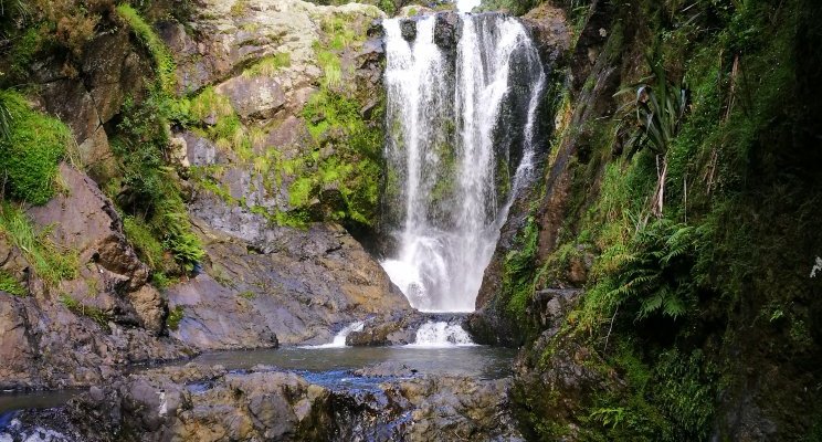 Waipu, New Zealand 2023: Best Places to Visit - Tripadvisor