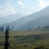 Things To Do in Baramulla Eco Park, Restaurants in Baramulla Eco Park