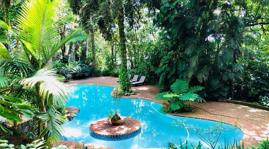 The gorgeous pool to take a dip in on a sunny day