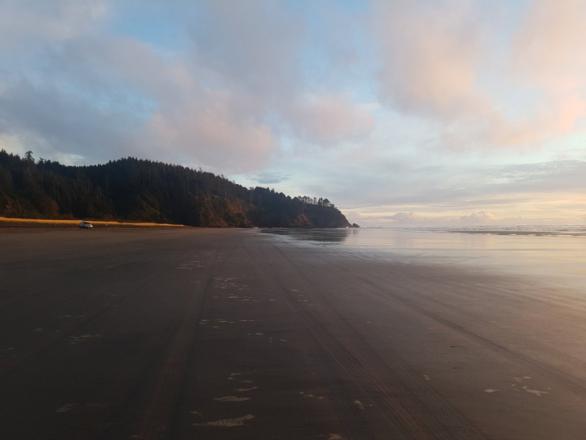 the cove golf long beach wa