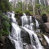 Things To Do in Toorongo Falls, Restaurants in Toorongo Falls