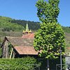 Things To Do in Domaine Bernhard & Reibel, Restaurants in Domaine Bernhard & Reibel