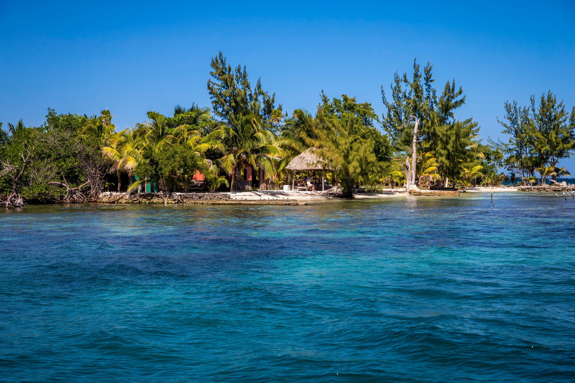 Turtle Inn, Belize - A Francis Ford Coppola Hideaway by Google