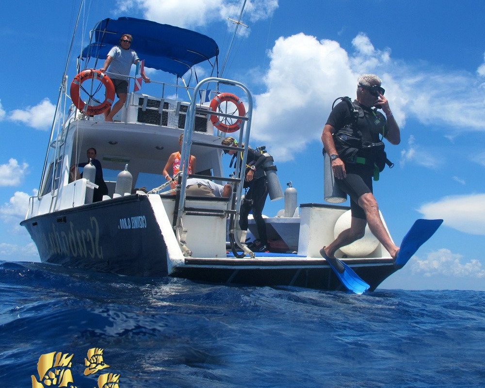 Introducir 64+ imagen scuba du cozumel mexico