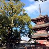 Things To Do in Taishi-cho History Shiryokan, Restaurants in Taishi-cho History Shiryokan