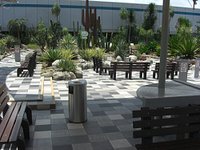 Changi Airport Terminal 1: Outdoor Rooftop Cactus Garden - LEPL