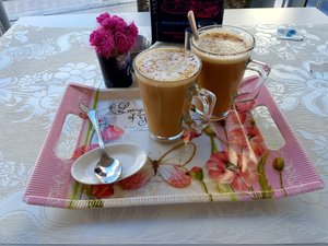 Bebidas