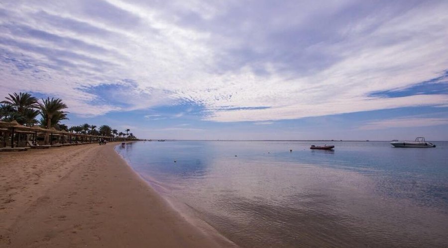 Beach View