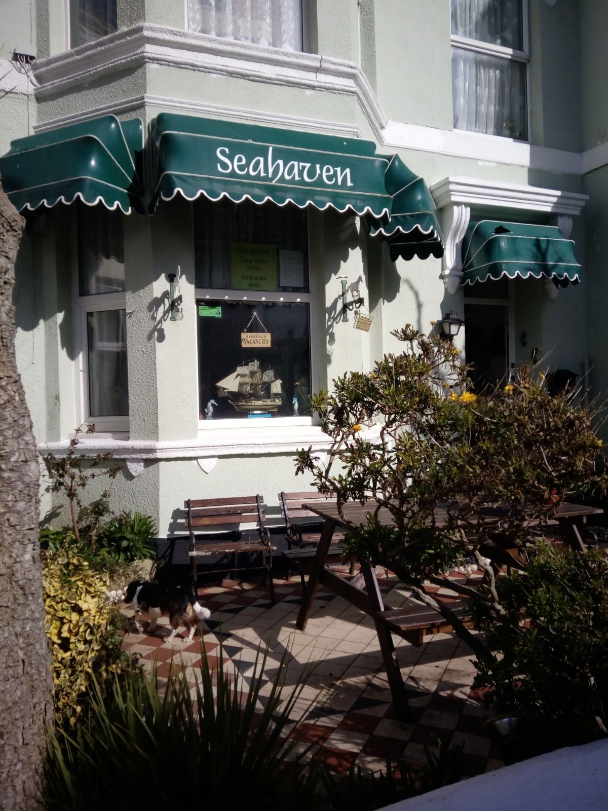 SEAHAVEN HOTEL Inn Reviews Photos Paignton Tripadvisor