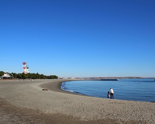 大田区の公園 自然 ベスト10 トリップアドバイザー