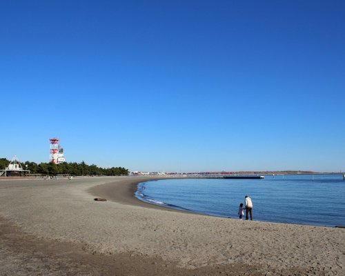 大田区の公園 自然 ベスト10 トリップアドバイザー