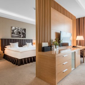 Tiffi Boutique Hotel in Olsztyn, image may contain: Couch, Interior Design, Living Room, Home Decor