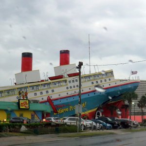 BODIES HUMAN EXHIBIT (Panama City Beach) - All You Need to Know BEFORE ...