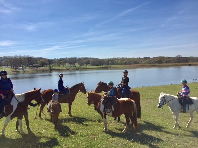 Texas Rose Horse Park image