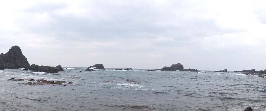 岬の全景