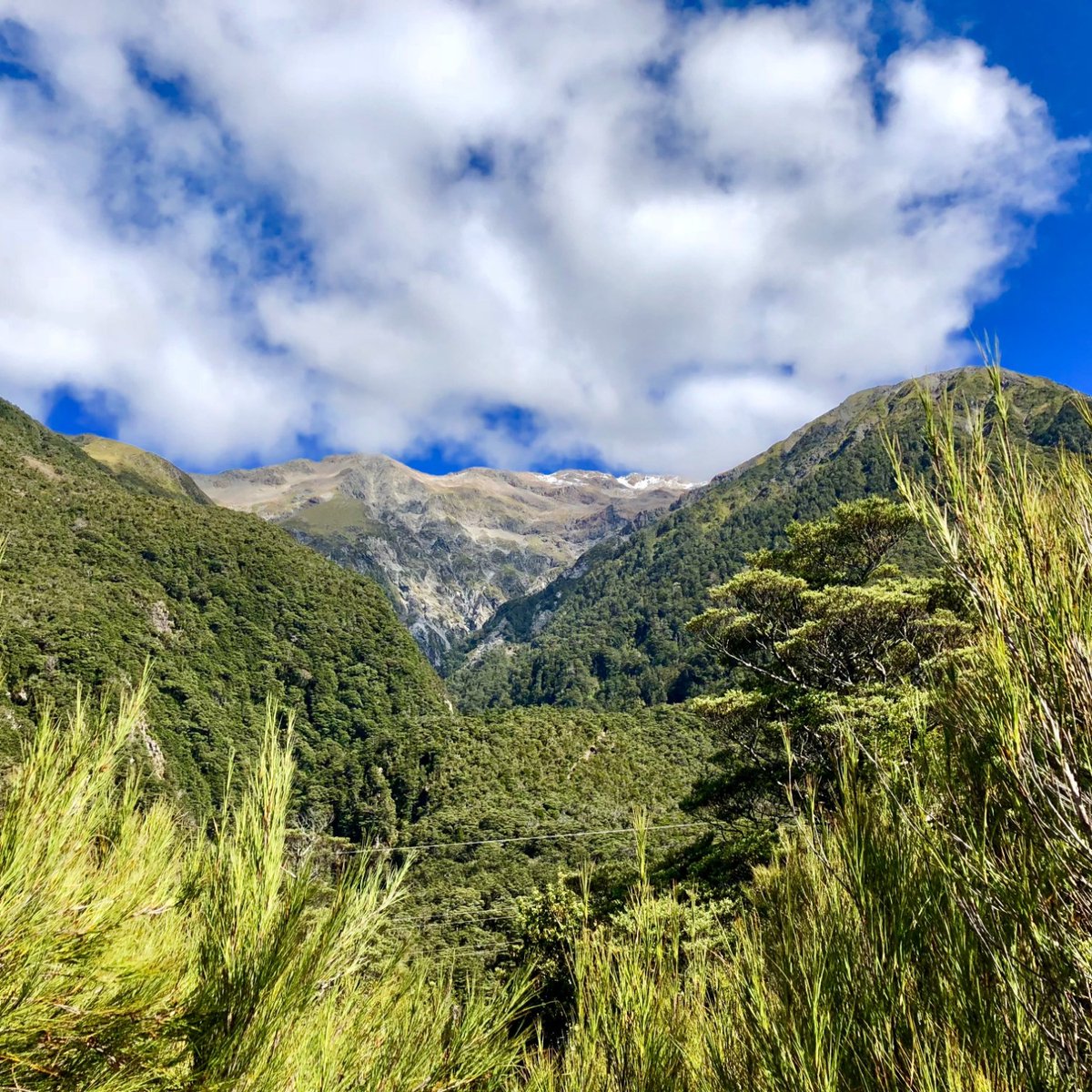 Arthur's Pass Walking Track (Arthur's Pass National Park) - All You ...